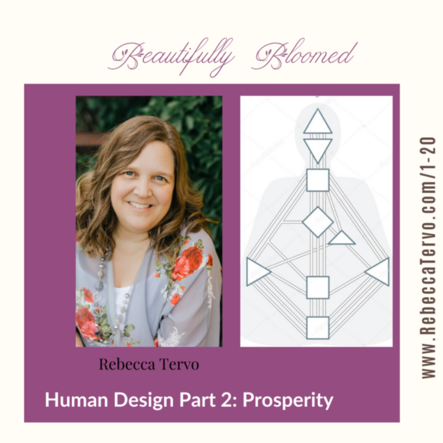 Human Design Part 2: Prosperity